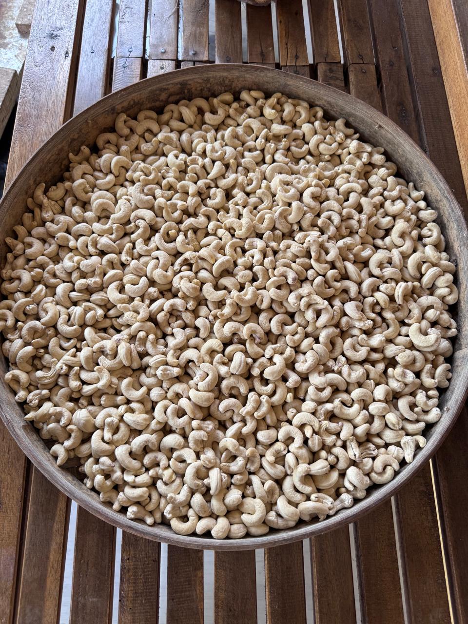 Raw cashew kernels sorted by grade