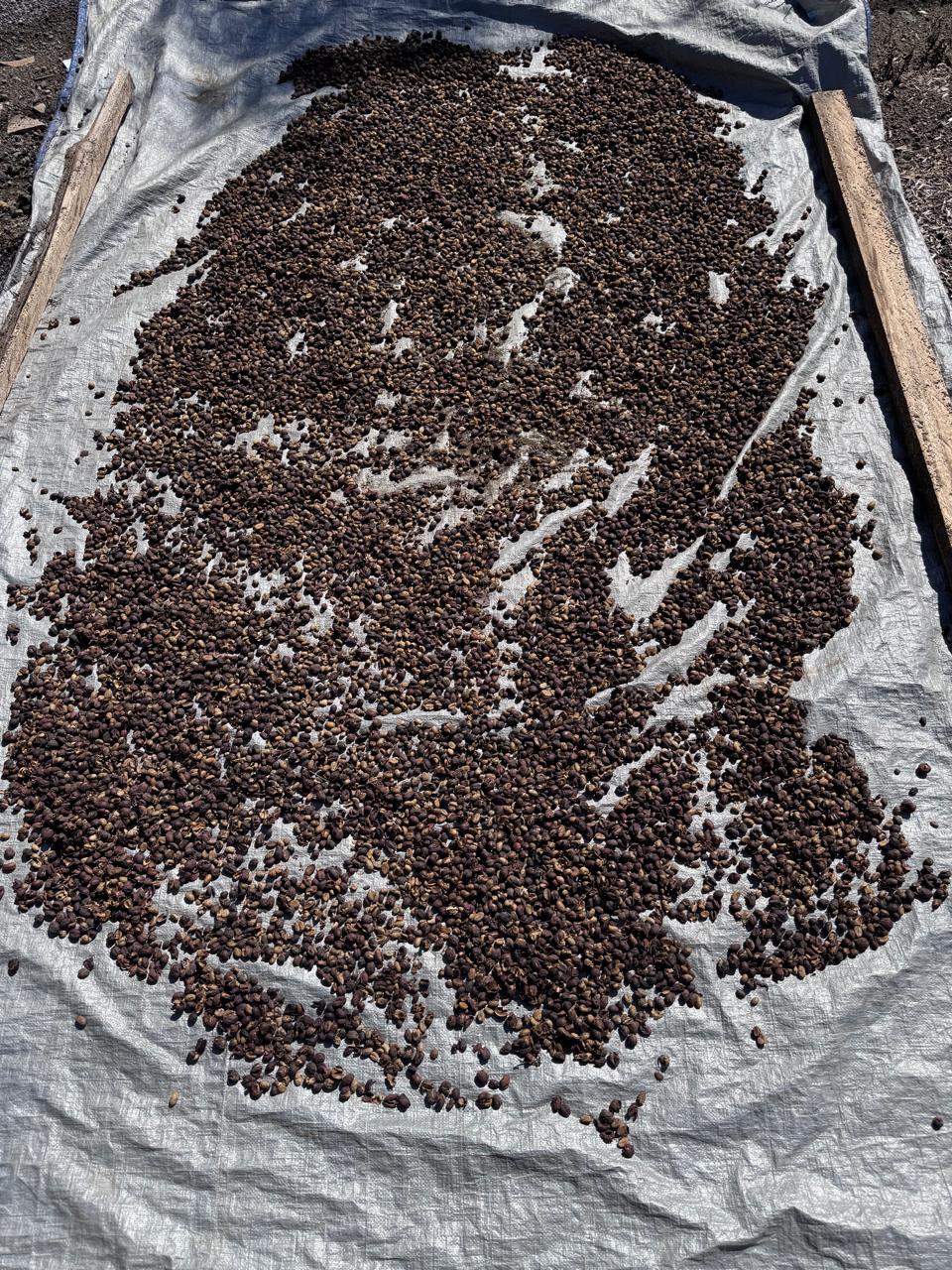 Cured tobacco leaf bales in the warehouse