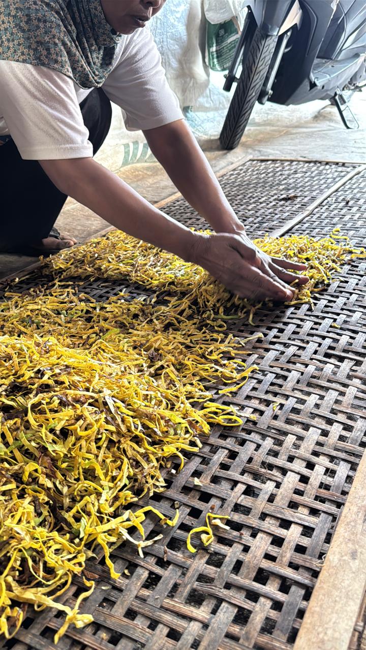 Cured tobacco leaf baled for shipment